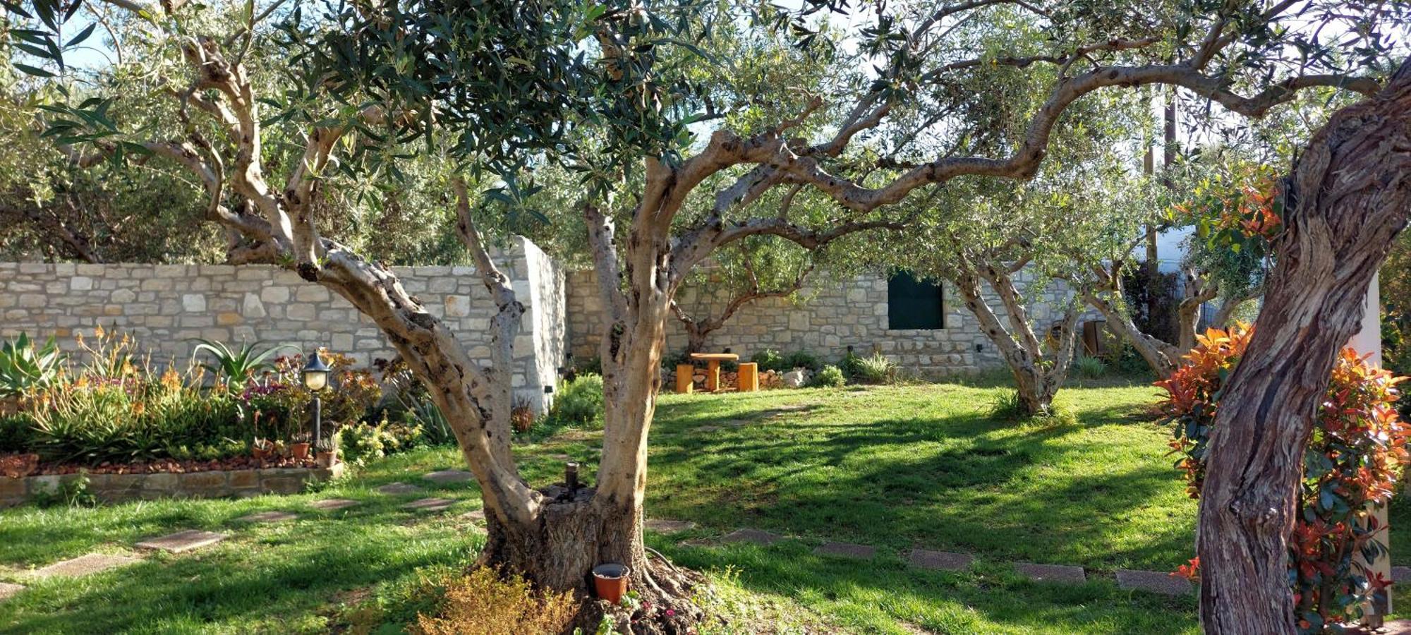 Lily'S Cottage Платанес Екстериор снимка